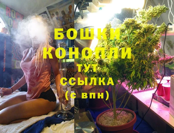 spice Абаза