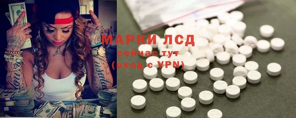 spice Абаза