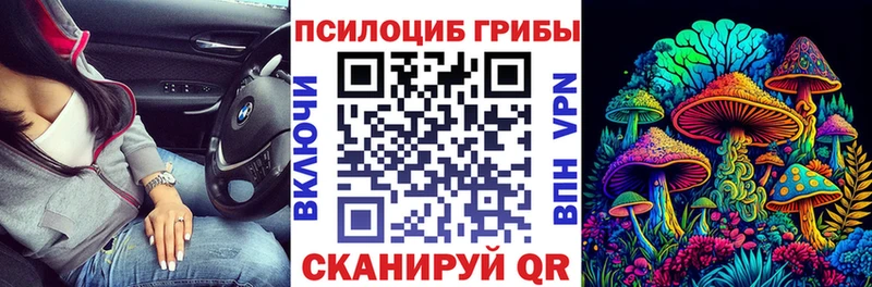 Псилоцибиновые грибы MAGIC MUSHROOMS  Приволжск 